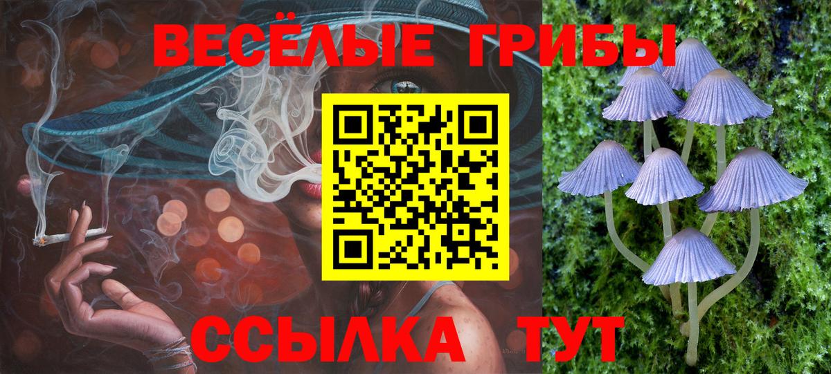 Ишимбай  Галлюциногенные грибы Cubensis  Вход с VPN 