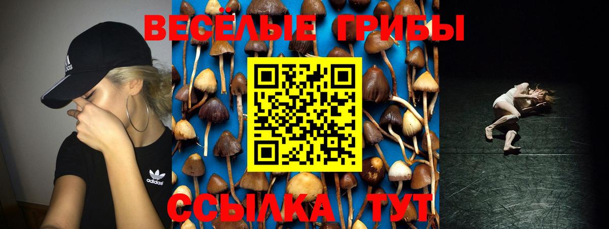 Псилоцибиновые грибы мицелий Ишимбай